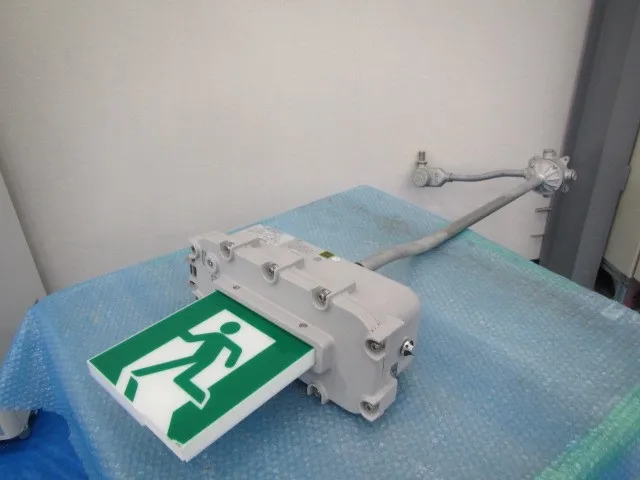 Iwasaki Electric EX1HMJ23201BL Explosion-proof guide lights Detail Image - ASKINDEX Korea