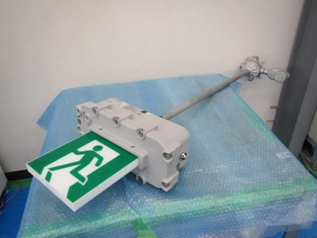 Iwasaki Electric EX1HMJ23201BL Explosion-proof guide lights Detail Image - ASKINDEX Korea