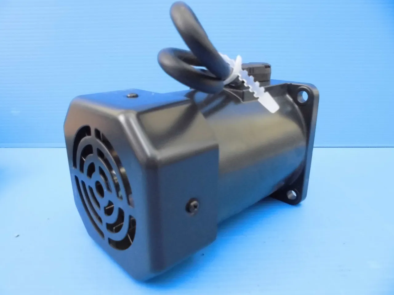 Oriental Motor BHI62A-A Induction motor Detail Image - ASKINDEX Korea
