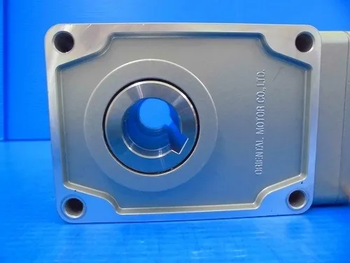 Oriental Motor 51K100VJS-GHR100 Induction motor Detail Image - ASKINDEX Korea