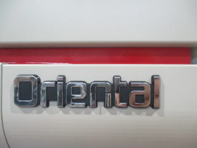 Oriental Giken TNR-ST-2100SUS Draft chamber Detail Image - ASKINDEX Korea