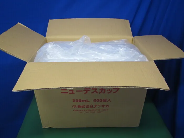 테라오카 N-300 뉴데스컵