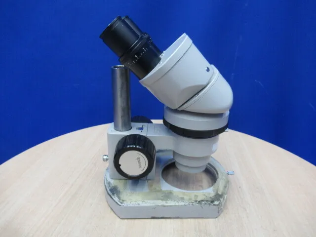 Nikon  Stereo microscope Detail Image - ASKINDEX Korea