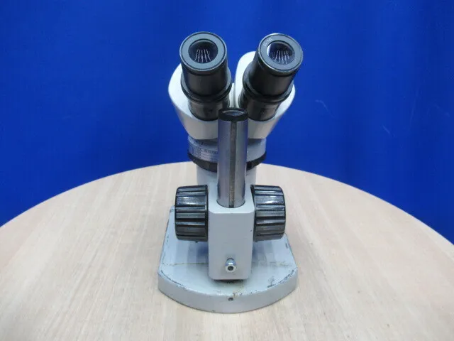Nikon  Stereo microscope Detail Image - ASKINDEX Korea