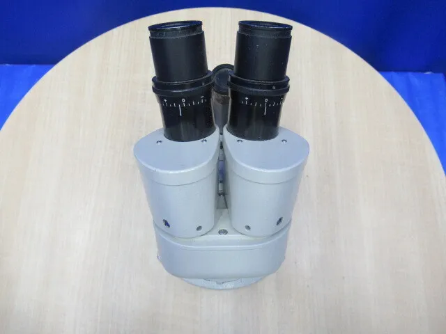 Nikon  Stereo microscope Detail Image - ASKINDEX Korea