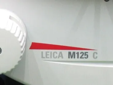 Leica M125C stereo microscope Detail Image - ASKINDEX Korea