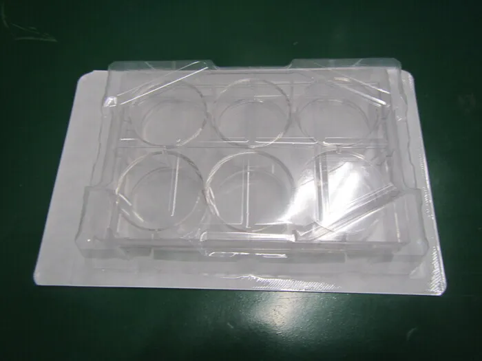 Corning 353046 Culture Plate Detail Image - ASKINDEX Korea