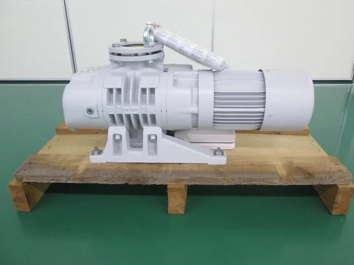 Raibolt RUVAC WSU 251 Mechanical booster pump Detail Image - ASKINDEX Korea