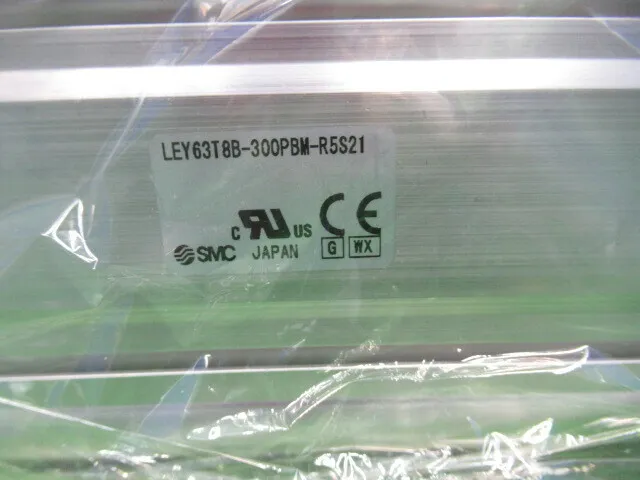 SMC LEY63T8B-300PBM-R5S21 Actuator (set) Detail Image - ASKINDEX Korea