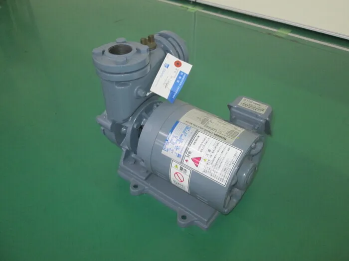 Ebara Corporation 32RQGD6.75 Pressure pump