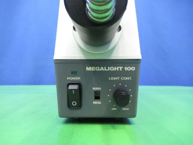 en_ホヤショット MEGALIGHT 100 en_コールドライト Detail Image - ASKINDEX Korea