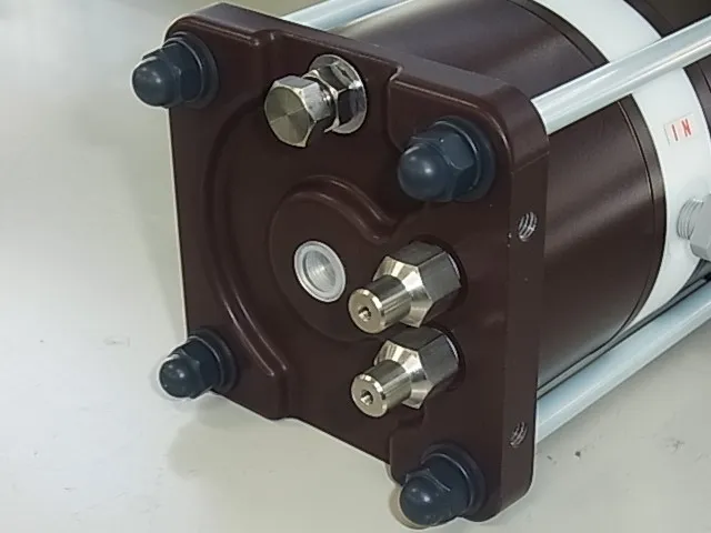 Iwaki FA-2-1 Bellows Pump Detail Image - ASKINDEX Korea